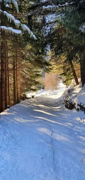 Residenza Sofia - Ponte Di Legno Fraz. Pezzo Villa 0*,  Olaszország